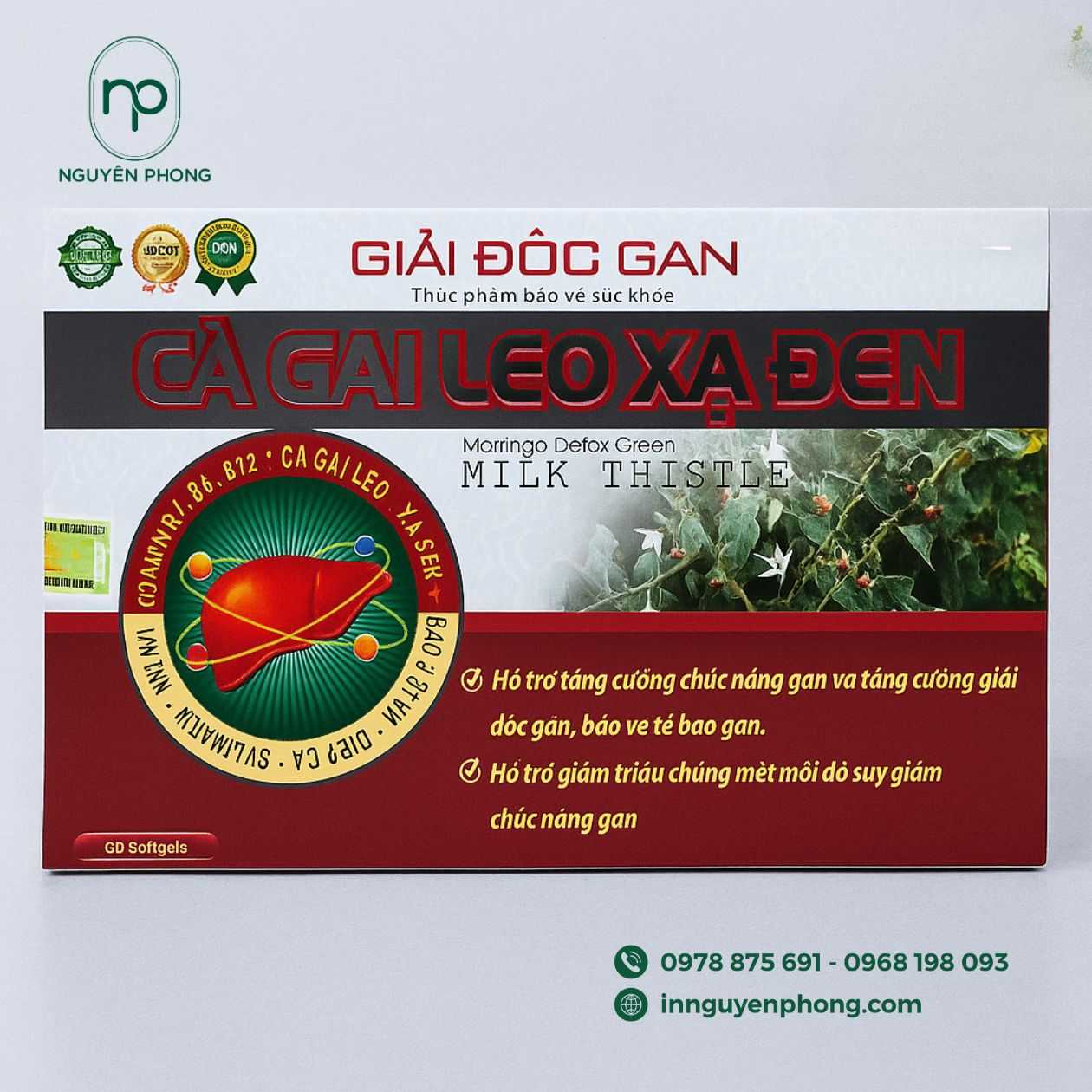 mẫu hộp đựng cà gai leo